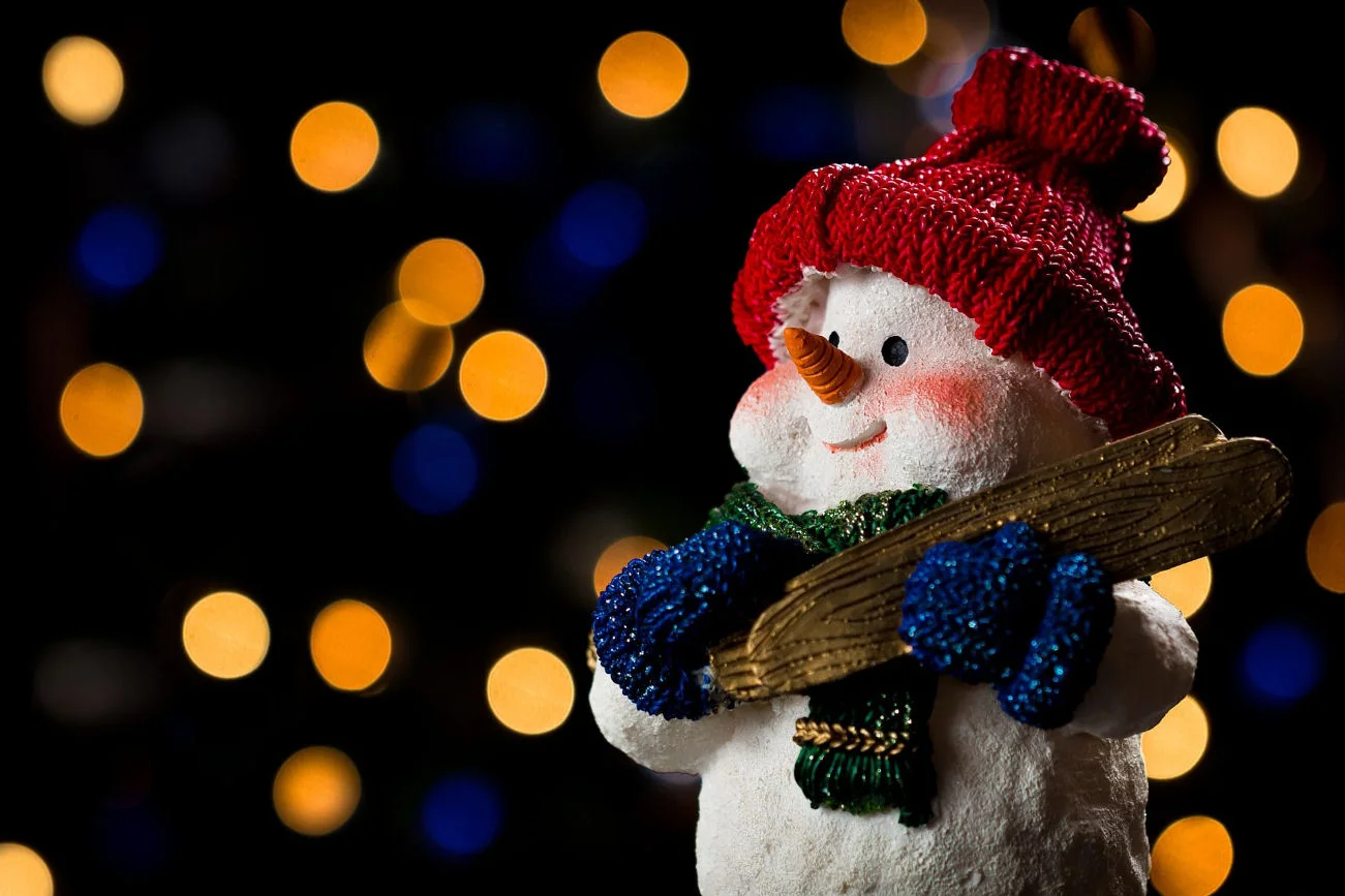 Snowman Snow Lights.jpg
