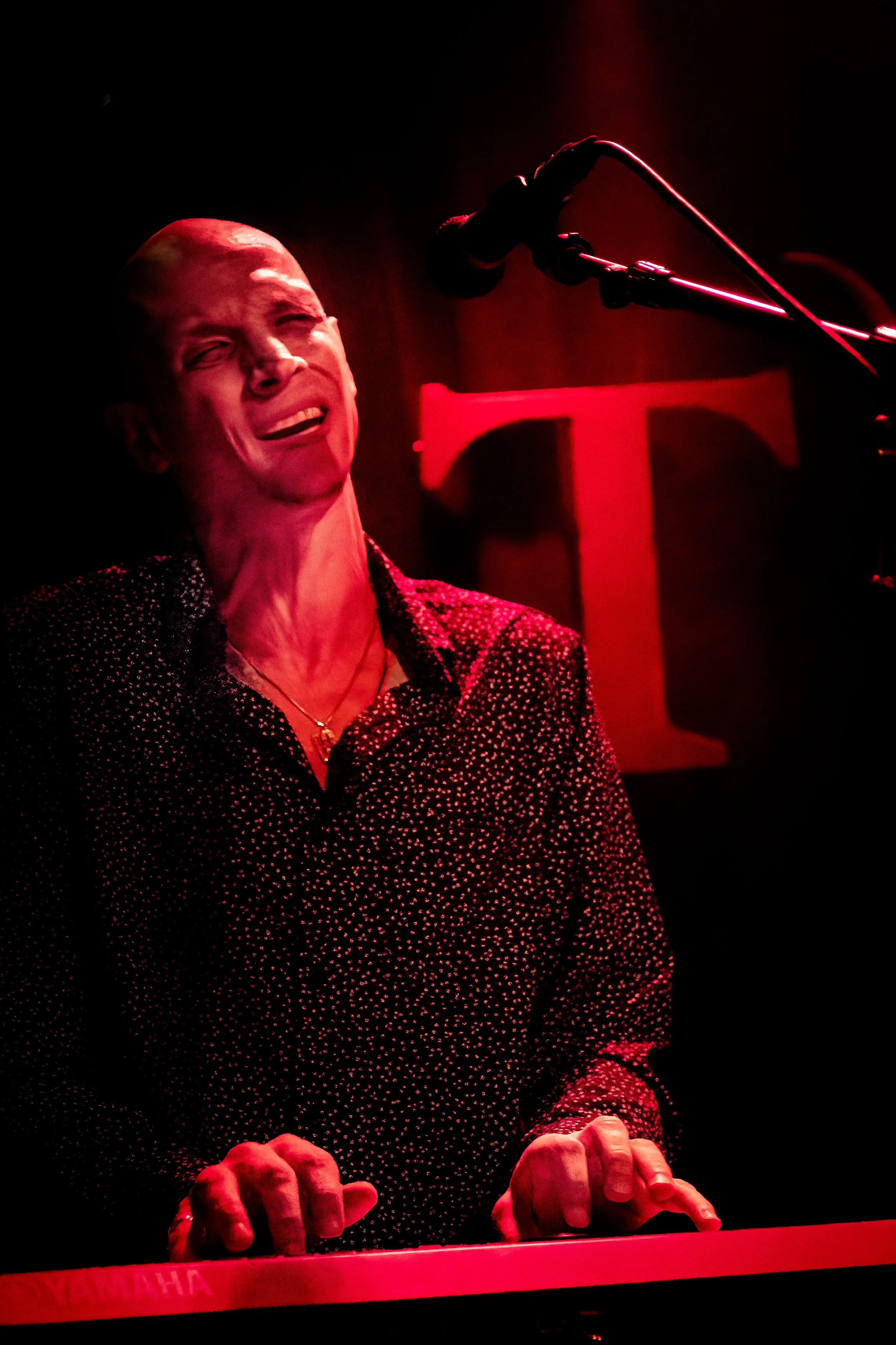 DSC_7994-Edit.JPG