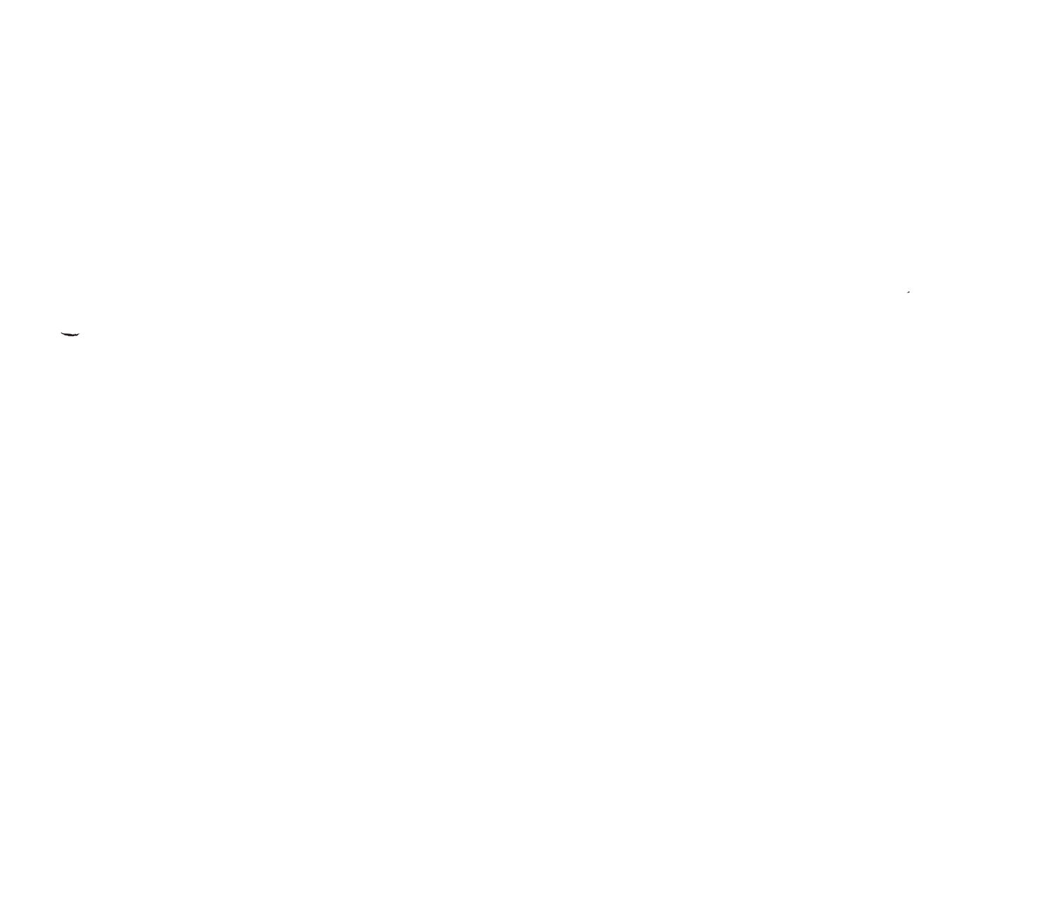  The Highlife Band