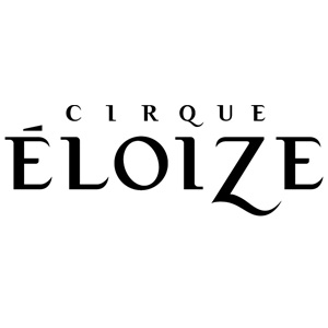 B-cirque-eloize.jpg