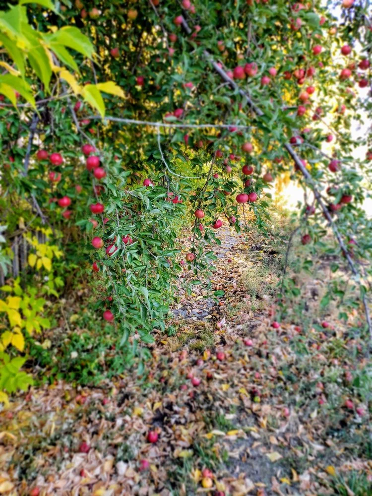 October 2018