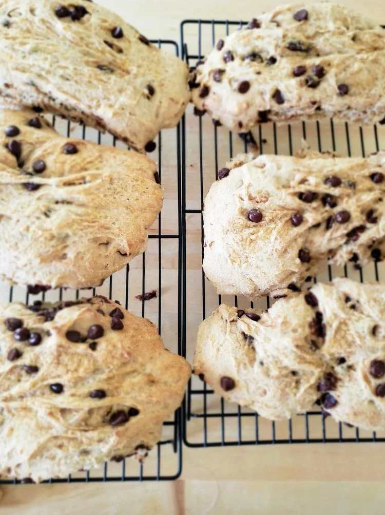 Sourdough Chocolate Chip French Bread