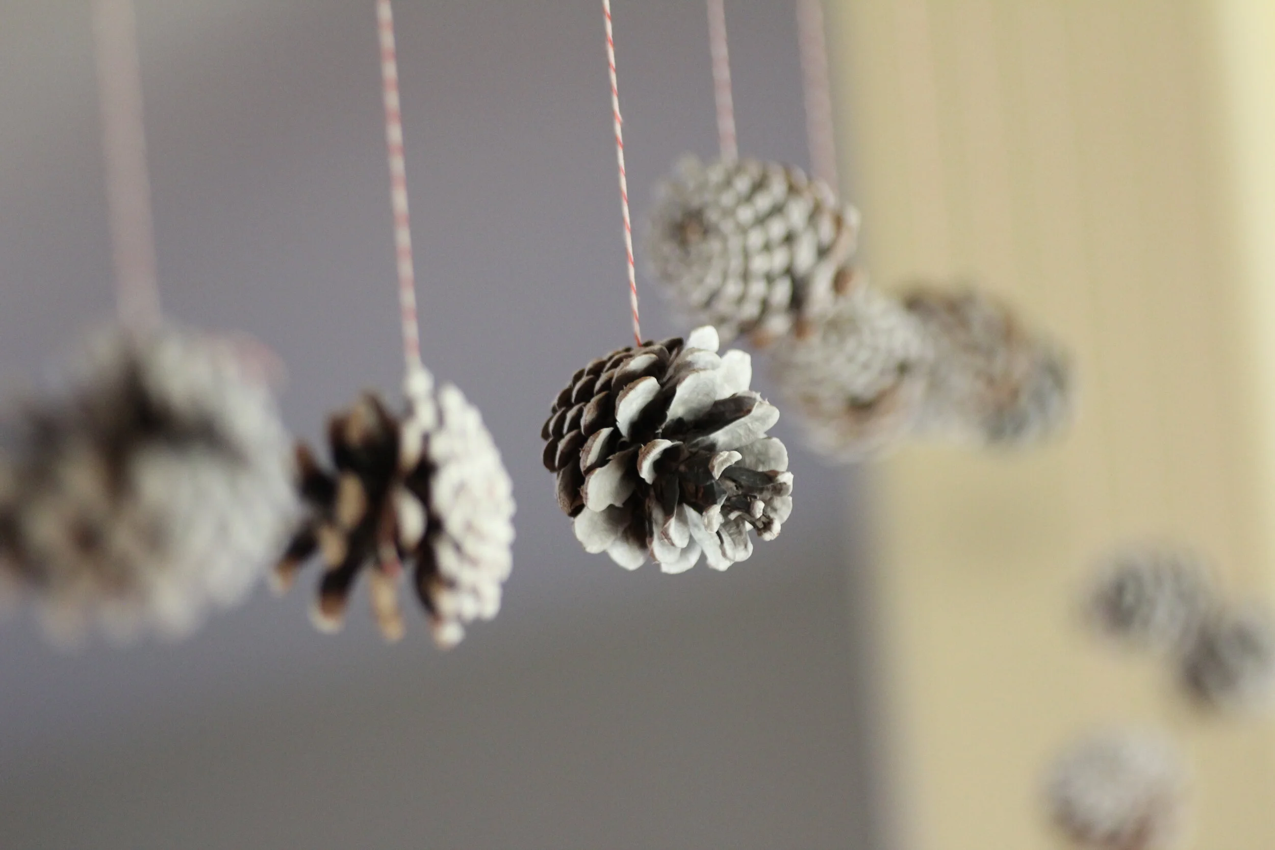 Frosted Christmas Pinecones