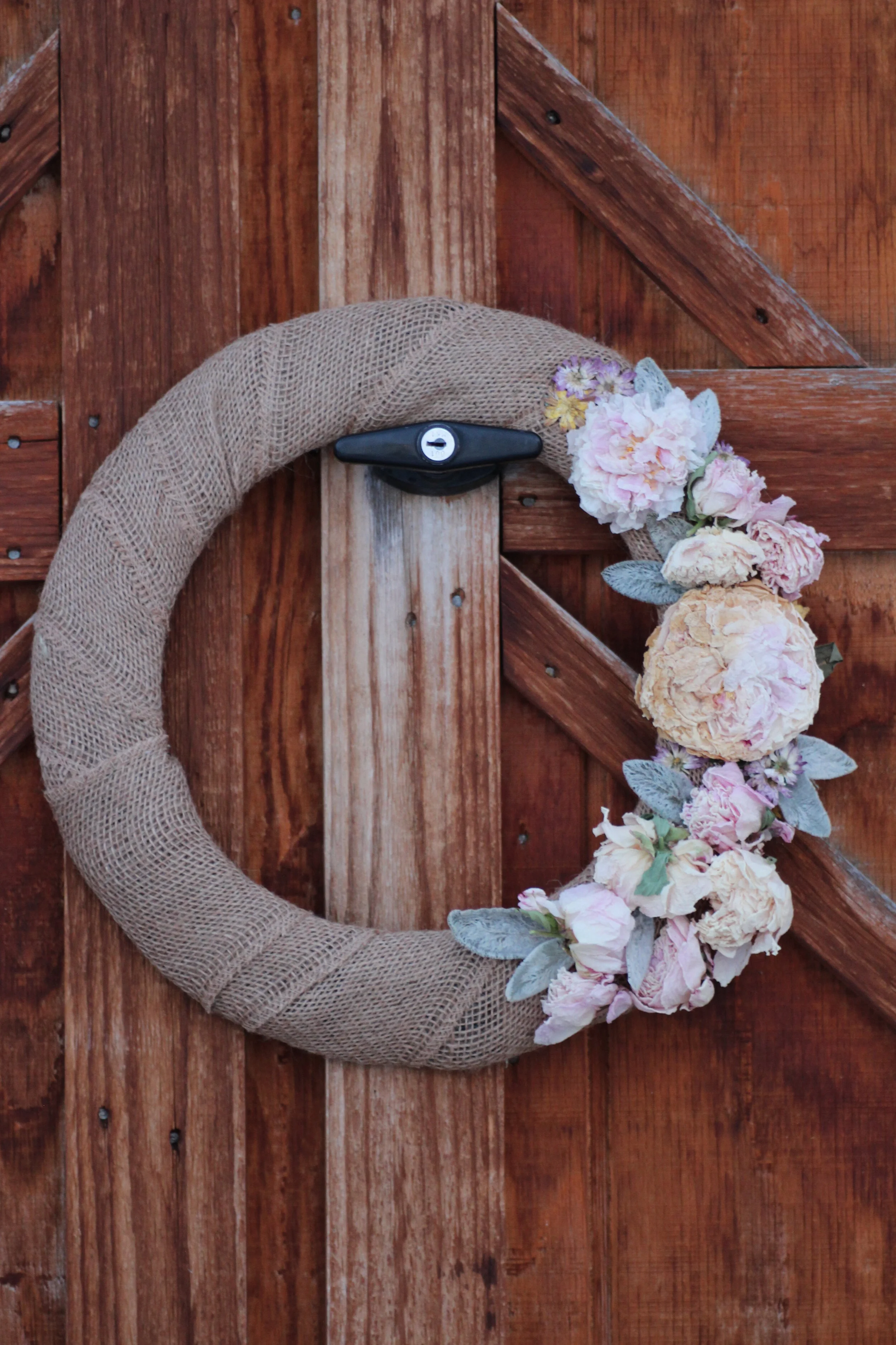 Sarah Bernhardt peonies