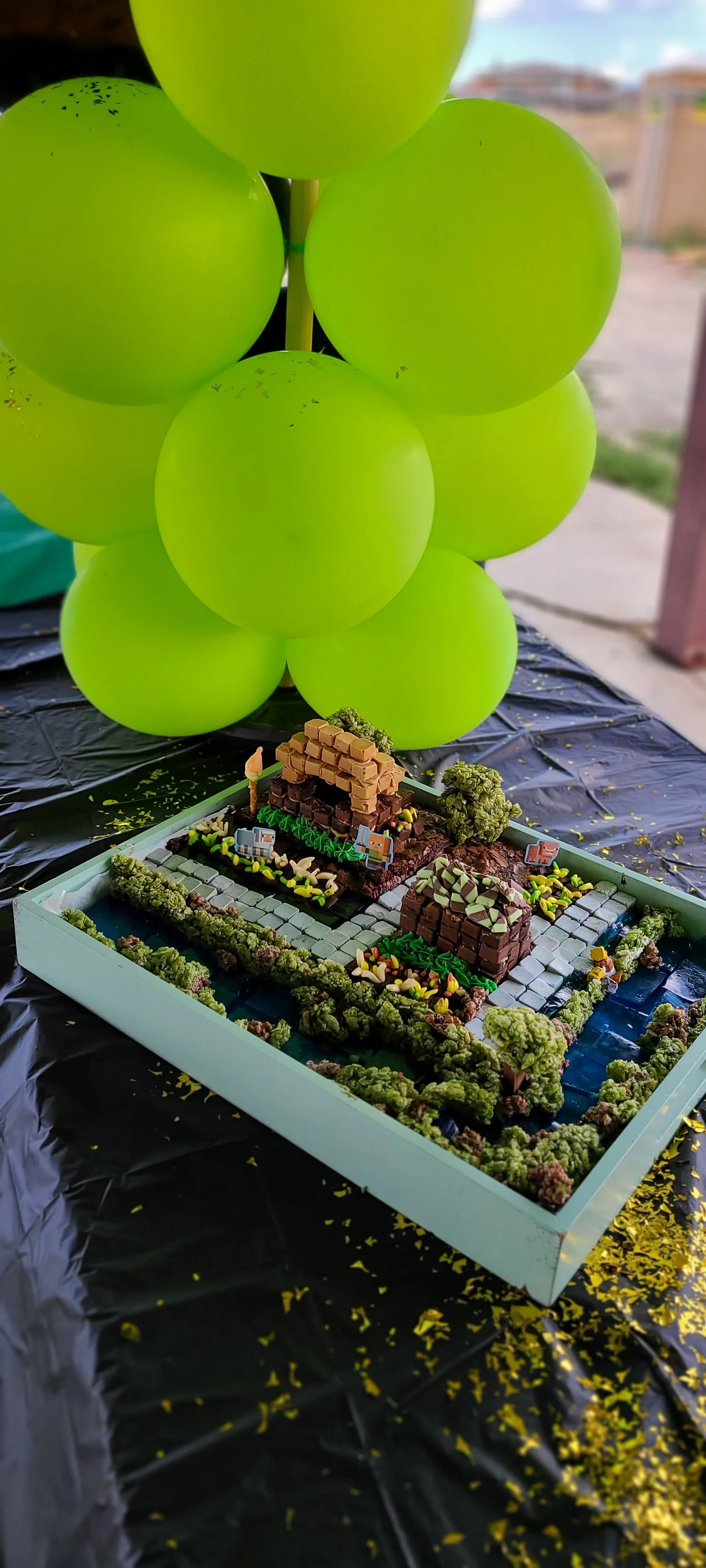Epic Minecraft Birthday party!