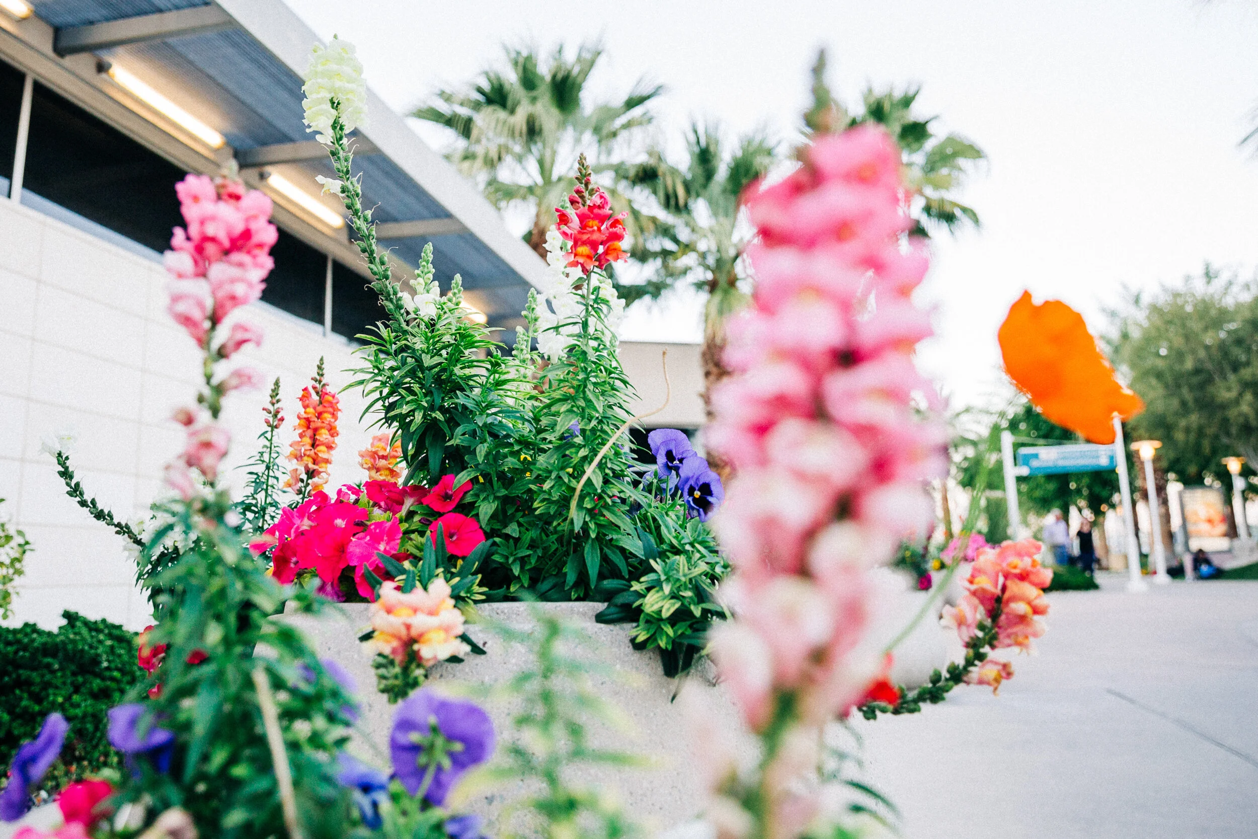 WHEN YOU LOOK, WHAT DO YOU SEE? | Seeking in Palm Springs, CA