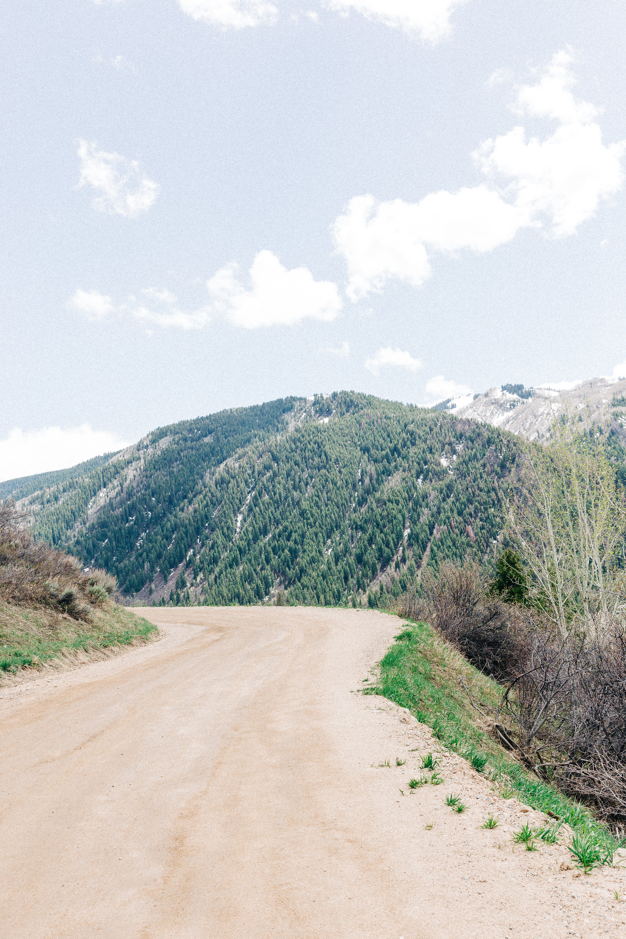 What do you see? | Aspen, CO