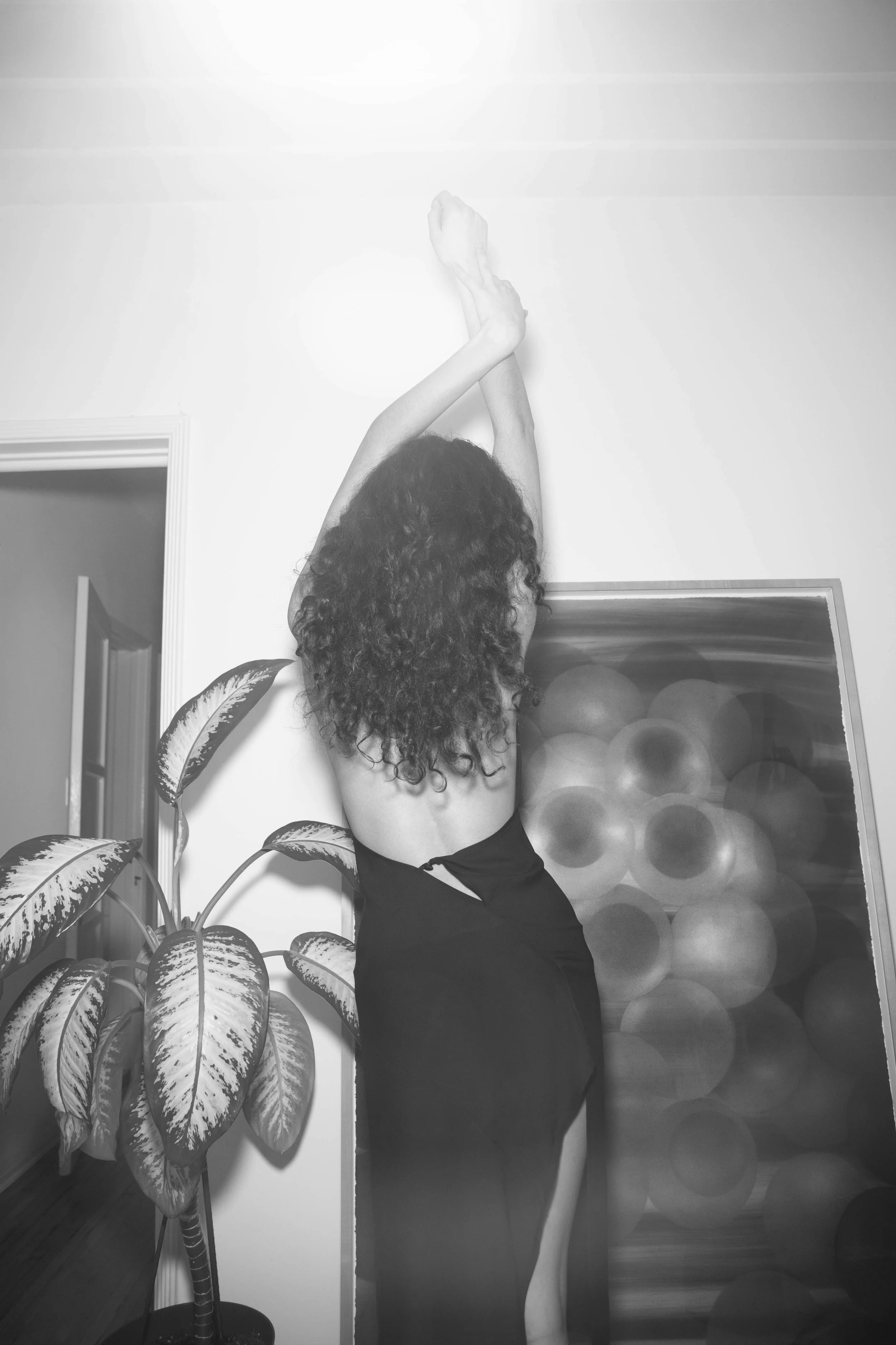250219ii-10 copy.jpeg