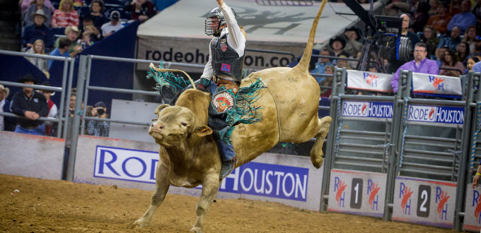 Bull Riding Image source