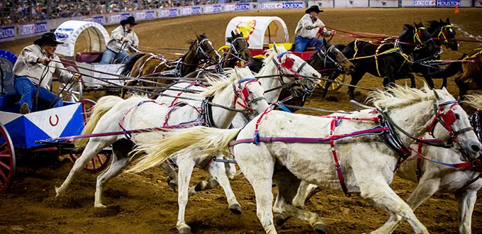 Chuck Wagon Racing Image source