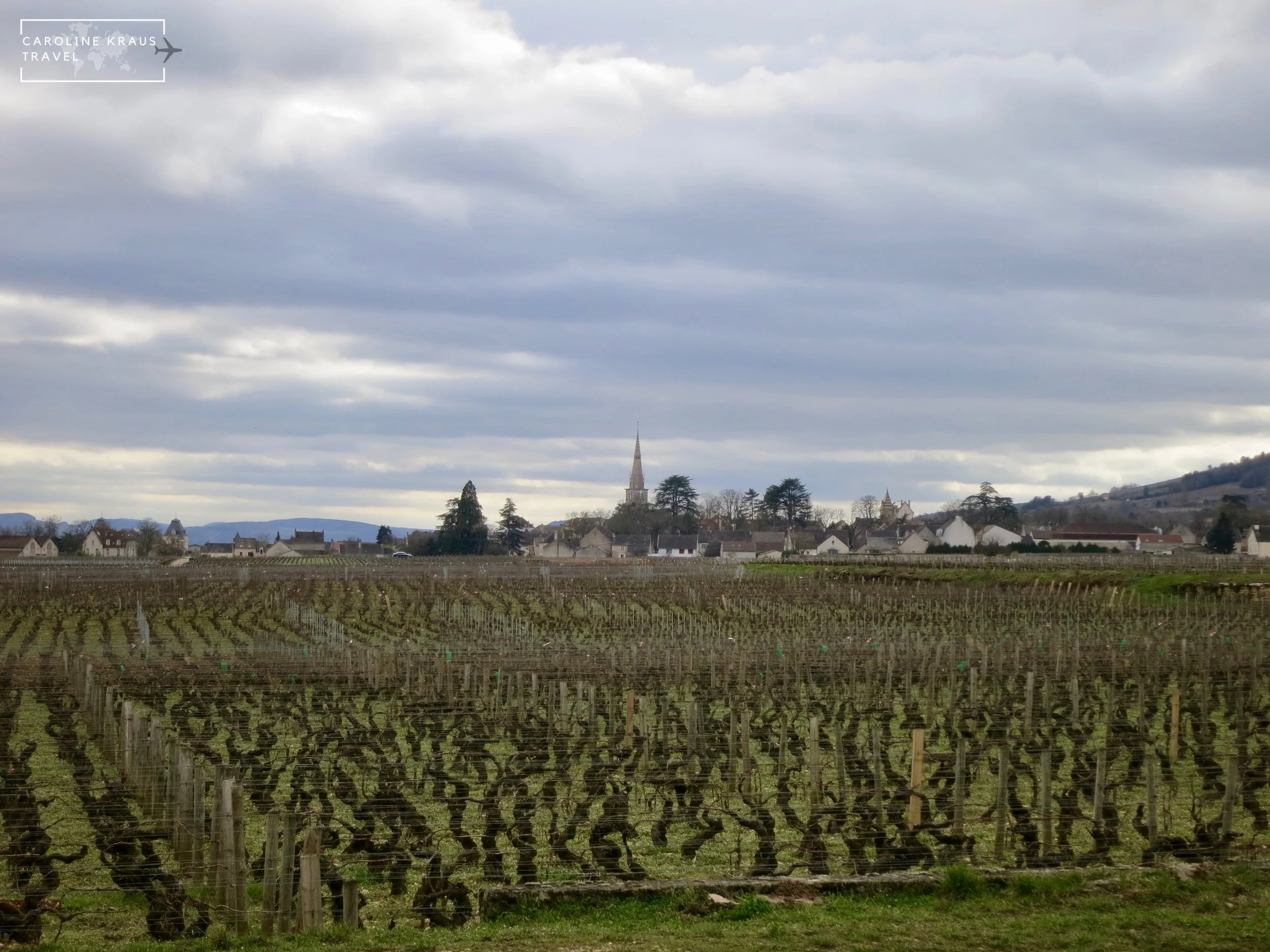 Meursault from a distance on our bike ride through the vineyards
