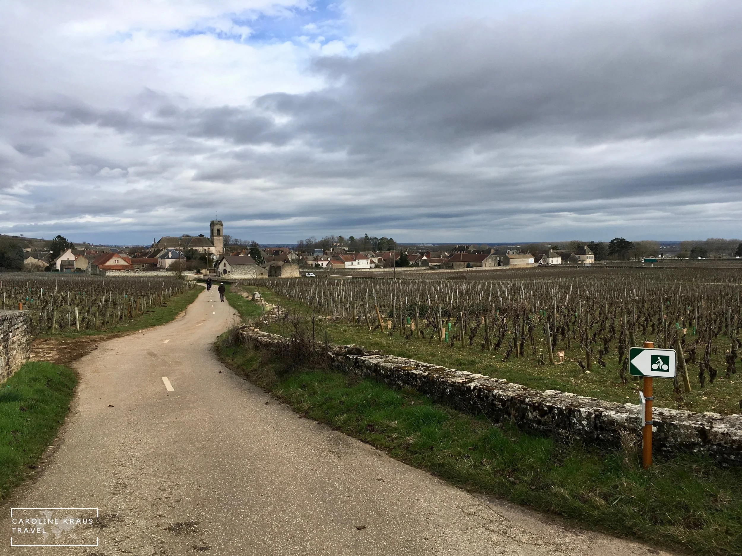 Pommard from a distance on our bike ride