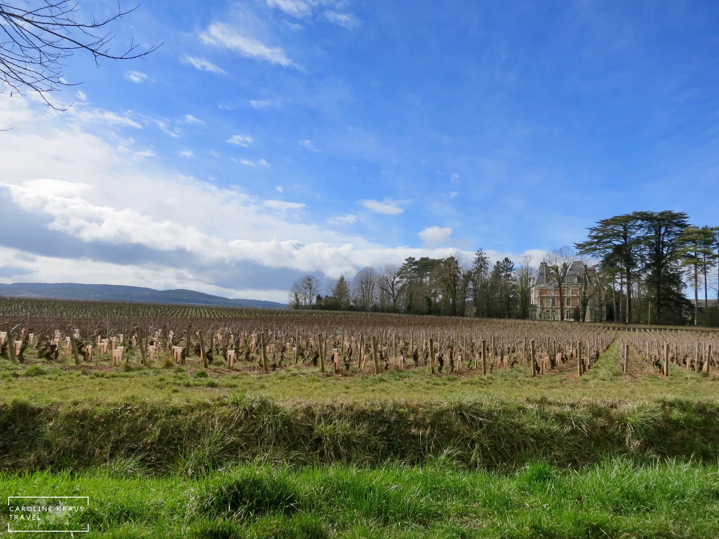 Aloxe-Corton