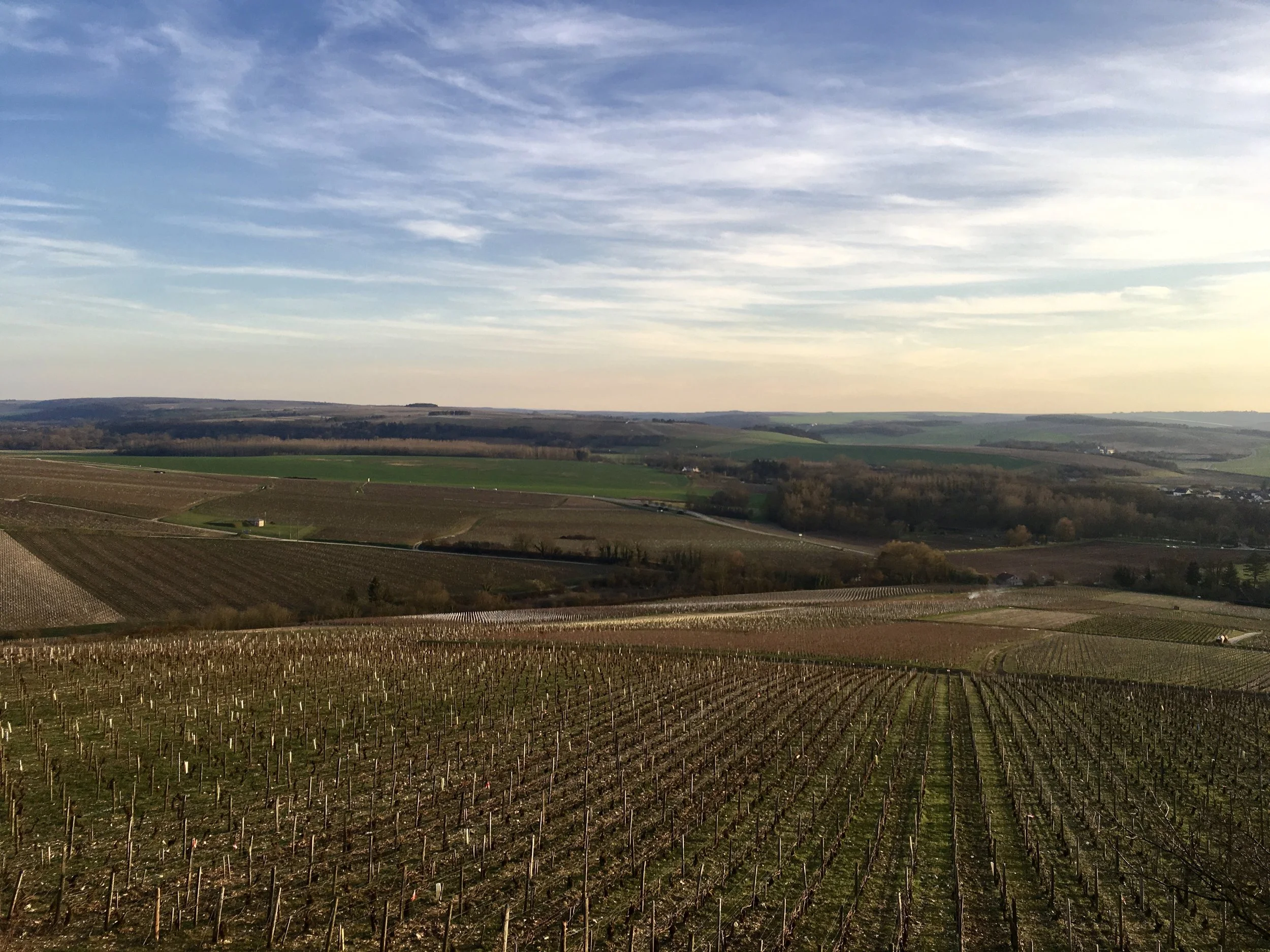 How to Experience the Best Wineries in Burgundy — Caroline Kraus Travel