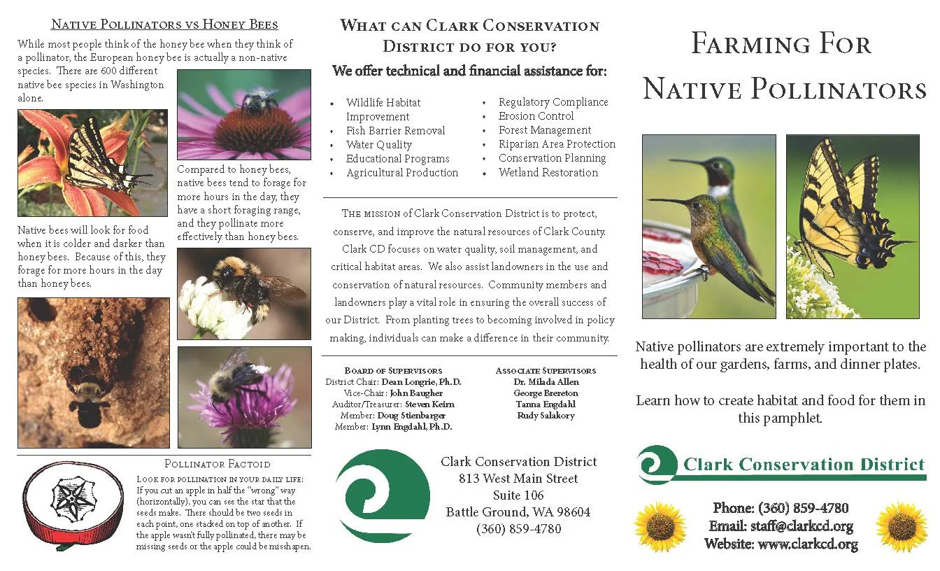 Farming for Native Pollinators