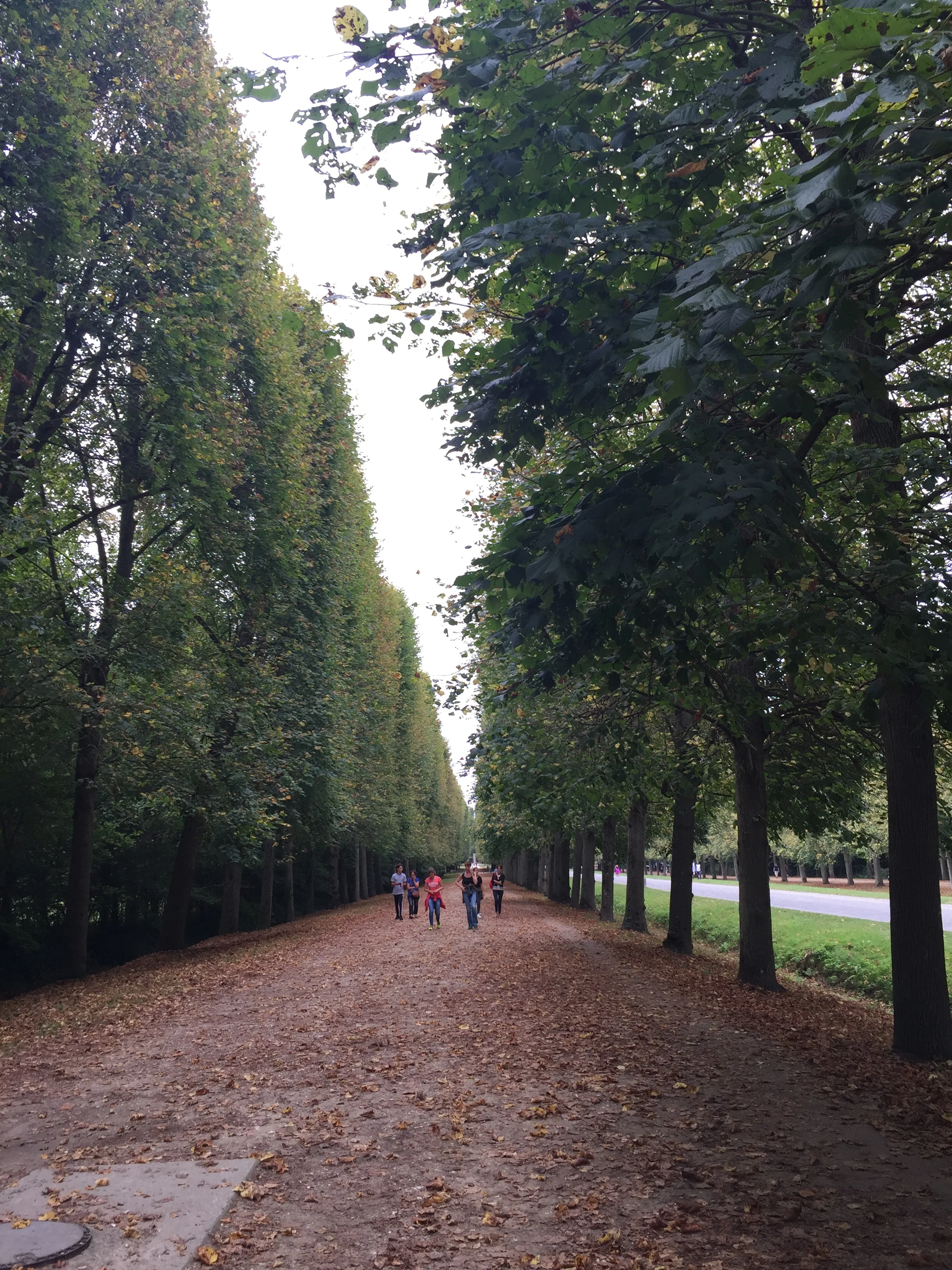 Where is this whole thing going