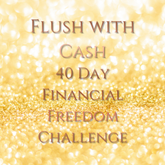 Flush with Cash - 40 Day Financial Freedom Challenge