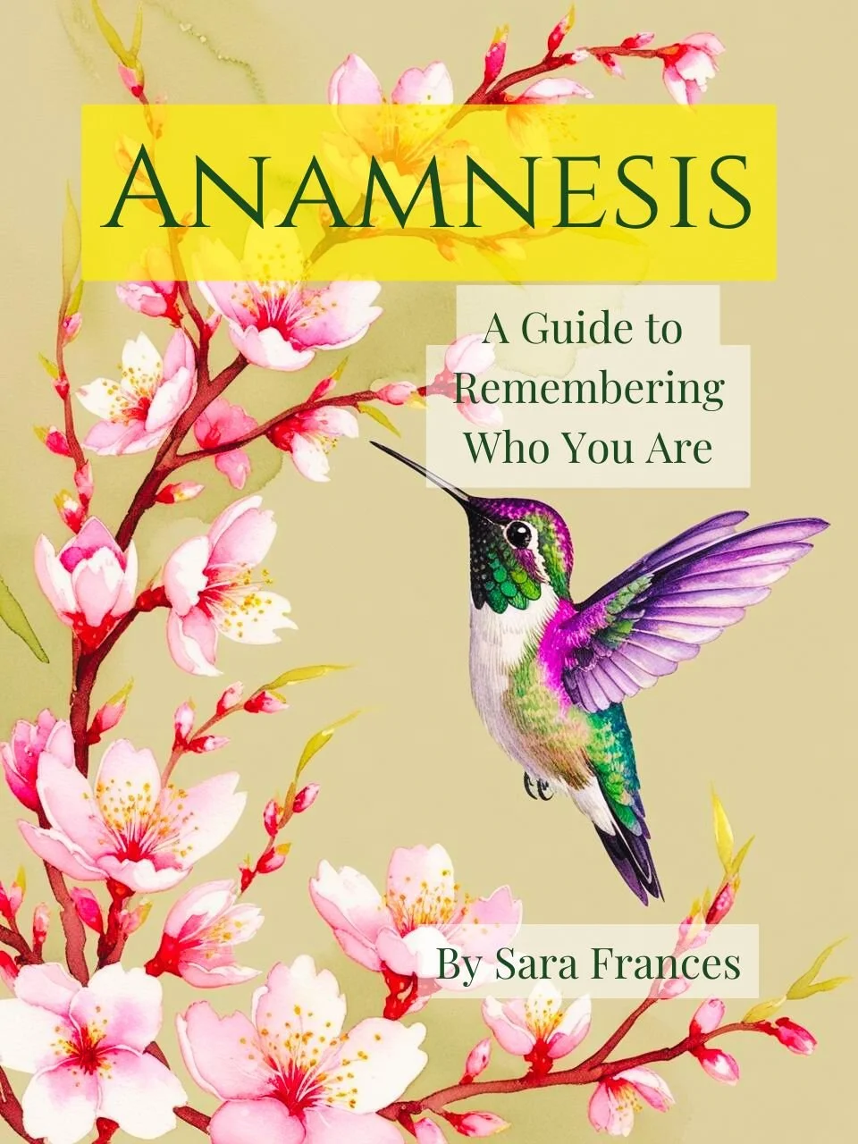 {Book} Anamnesis: A Guide to Remembering Who You Are