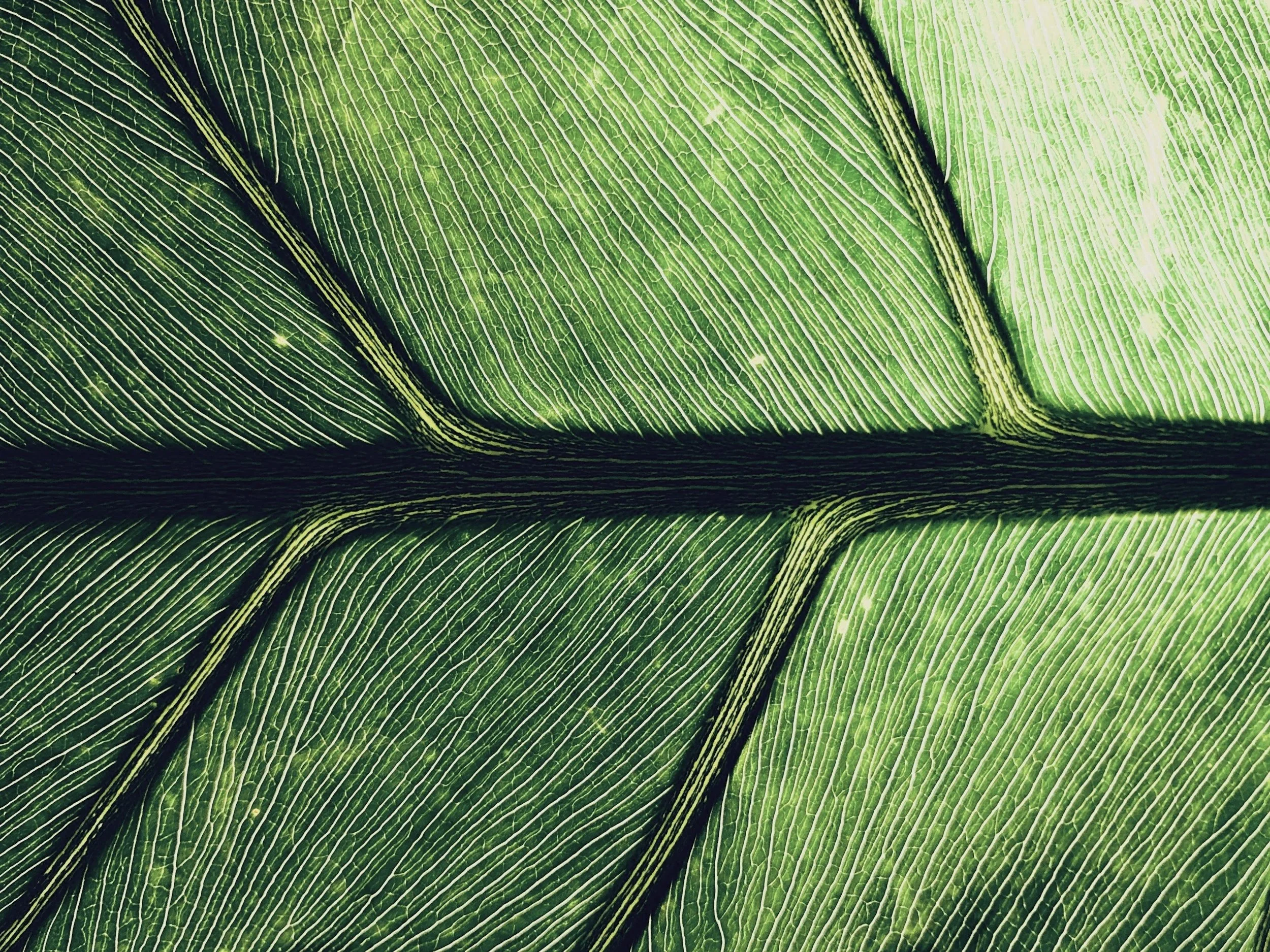 unsplash-image-q1-dAZuhs7I.jpg