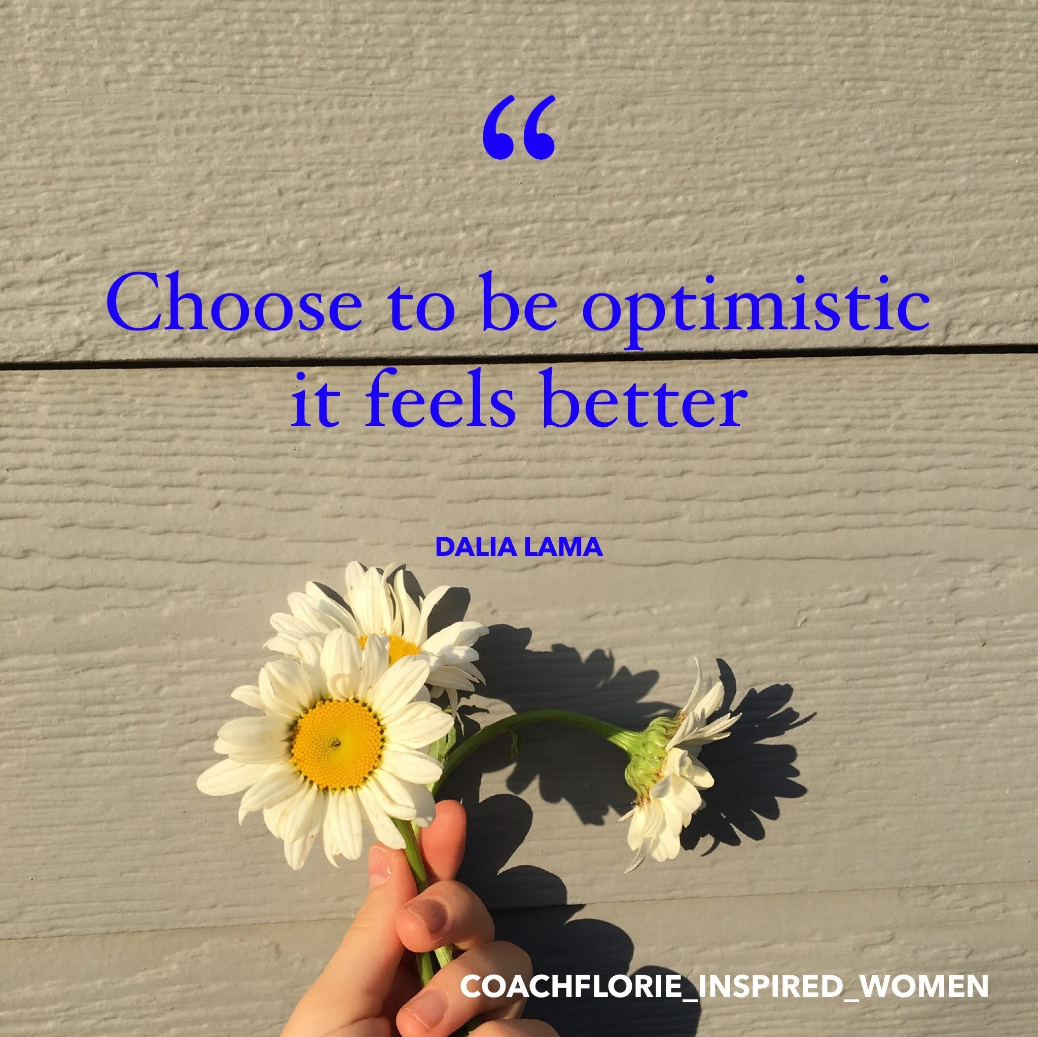 Optimism+-+Dalia-+lama.jpg