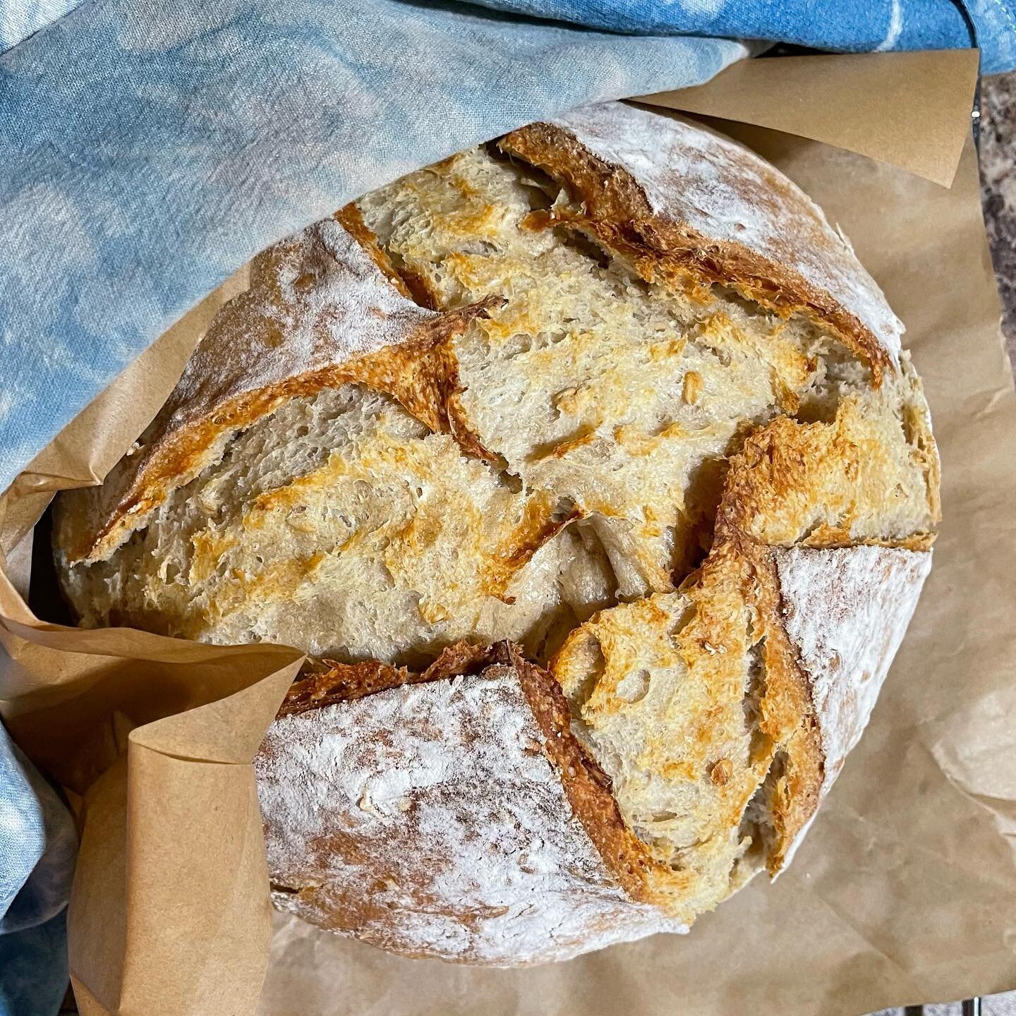 Sourdough is so resilient. I forgot I had this loaf shaped on the counter, got ready for bed, and oh dear. So, I reshaped it, popped in the hot oven and pulled it out at midnight. It&rsquo;s the loaf I made from the dried sourdough starter I tested l