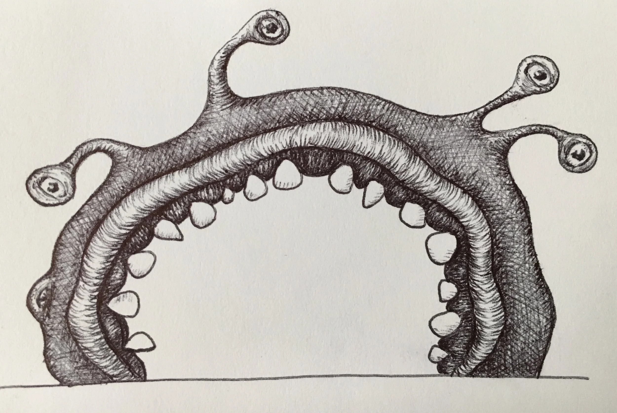 FullSizeRender 3.jpg