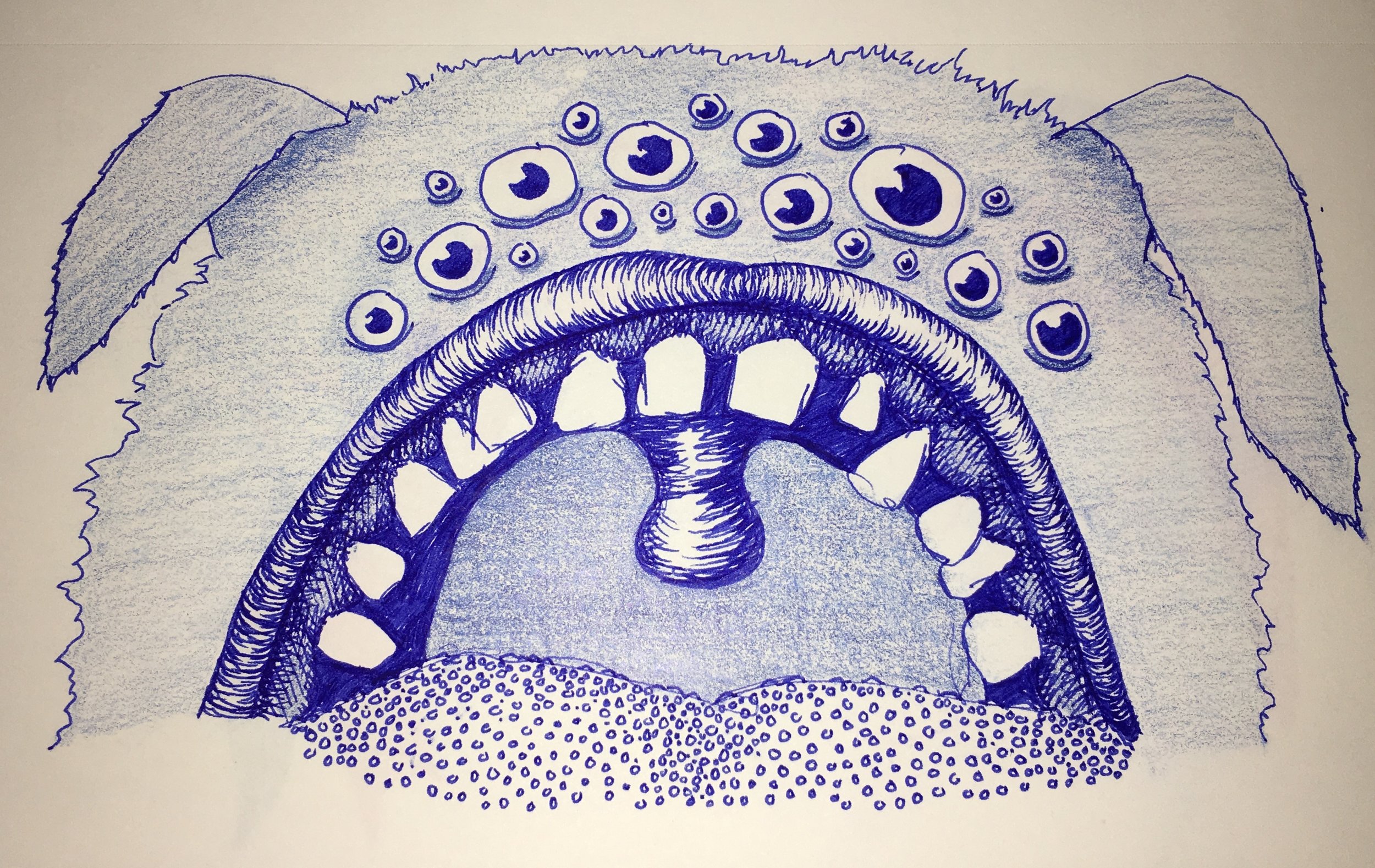 FullSizeRender 6.jpg