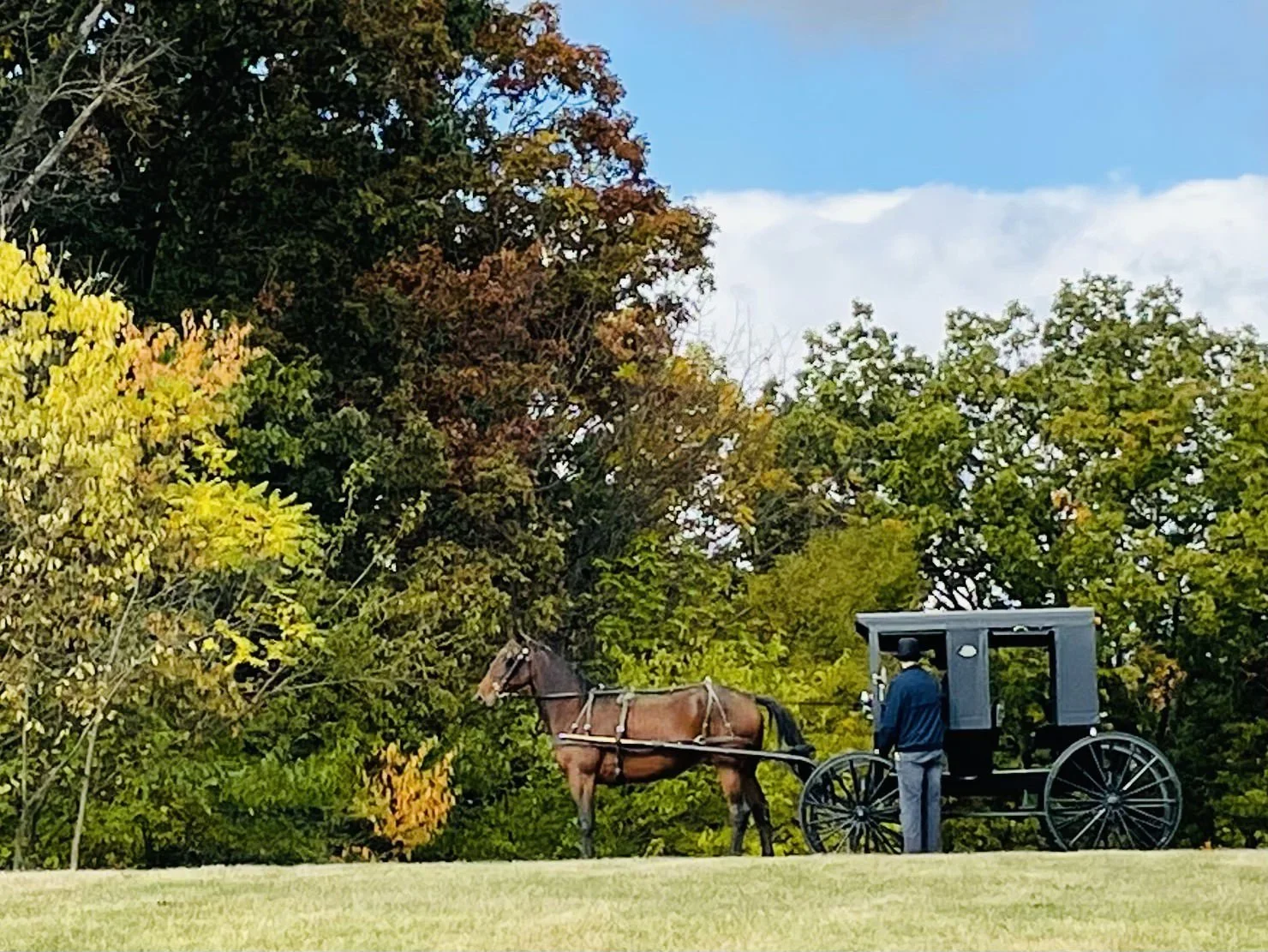 Heritage Festival Brethren Mennonite Heritage Center heritage-festival-brethren-mennonite-heritage-center