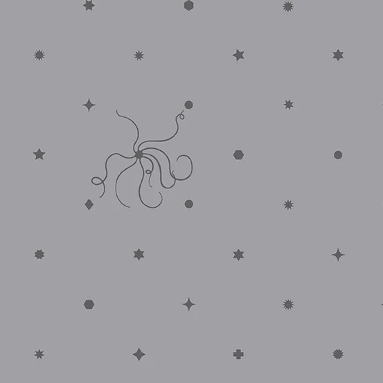 72dpi-A-8675-C.jpg