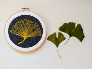 ginkgo close.jpg