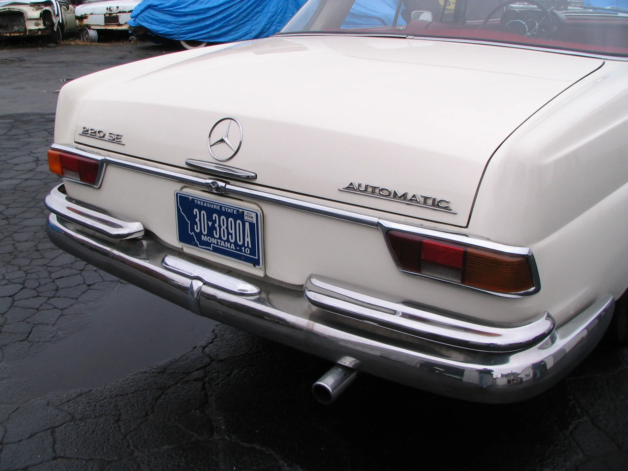 IMG_6837.jpg