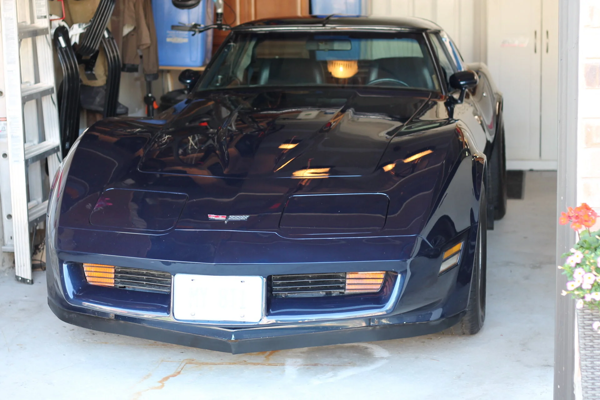 SOLD to Canada

1981 Corvette - 350/4-spd. Last of the 4-spped cars!
