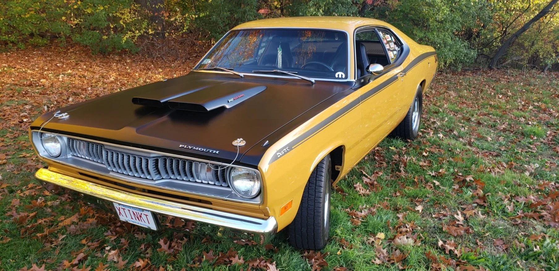 SId27-l4TiaOaOsLKzM8sA.jfif