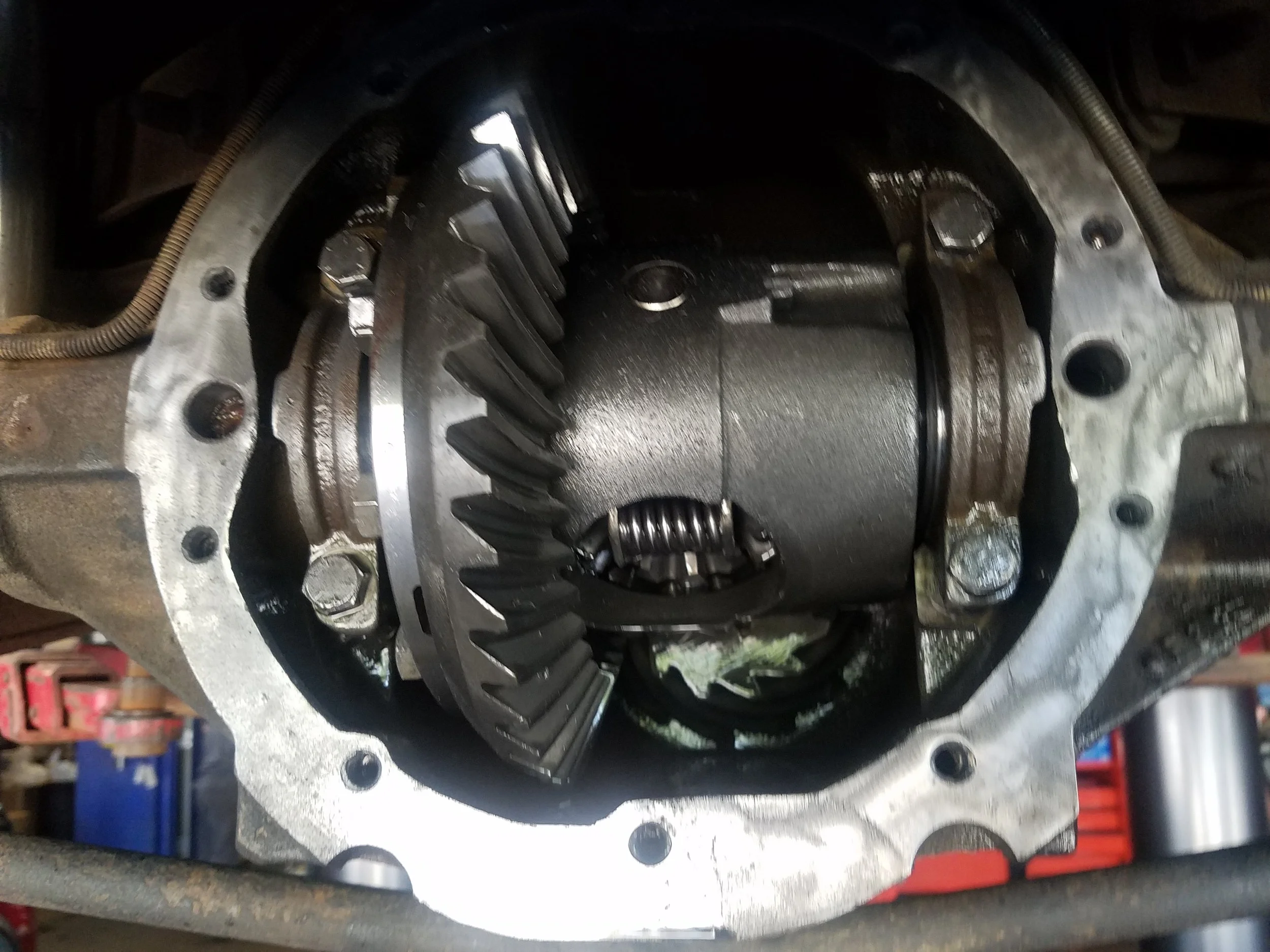 20190518_121716.jpg