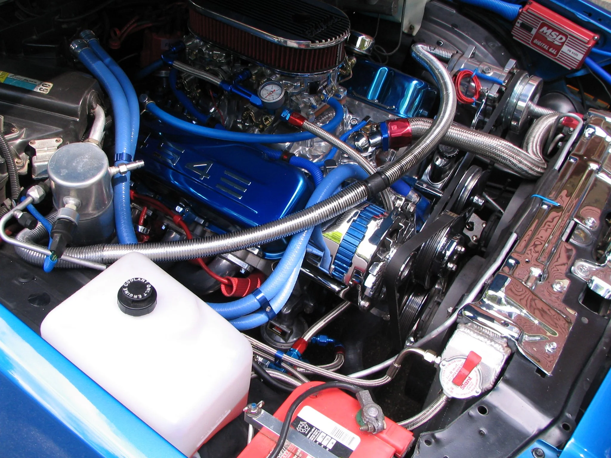 cde8c6e4-3bdc-4f94-a709-ef96bd10b38b.jpg