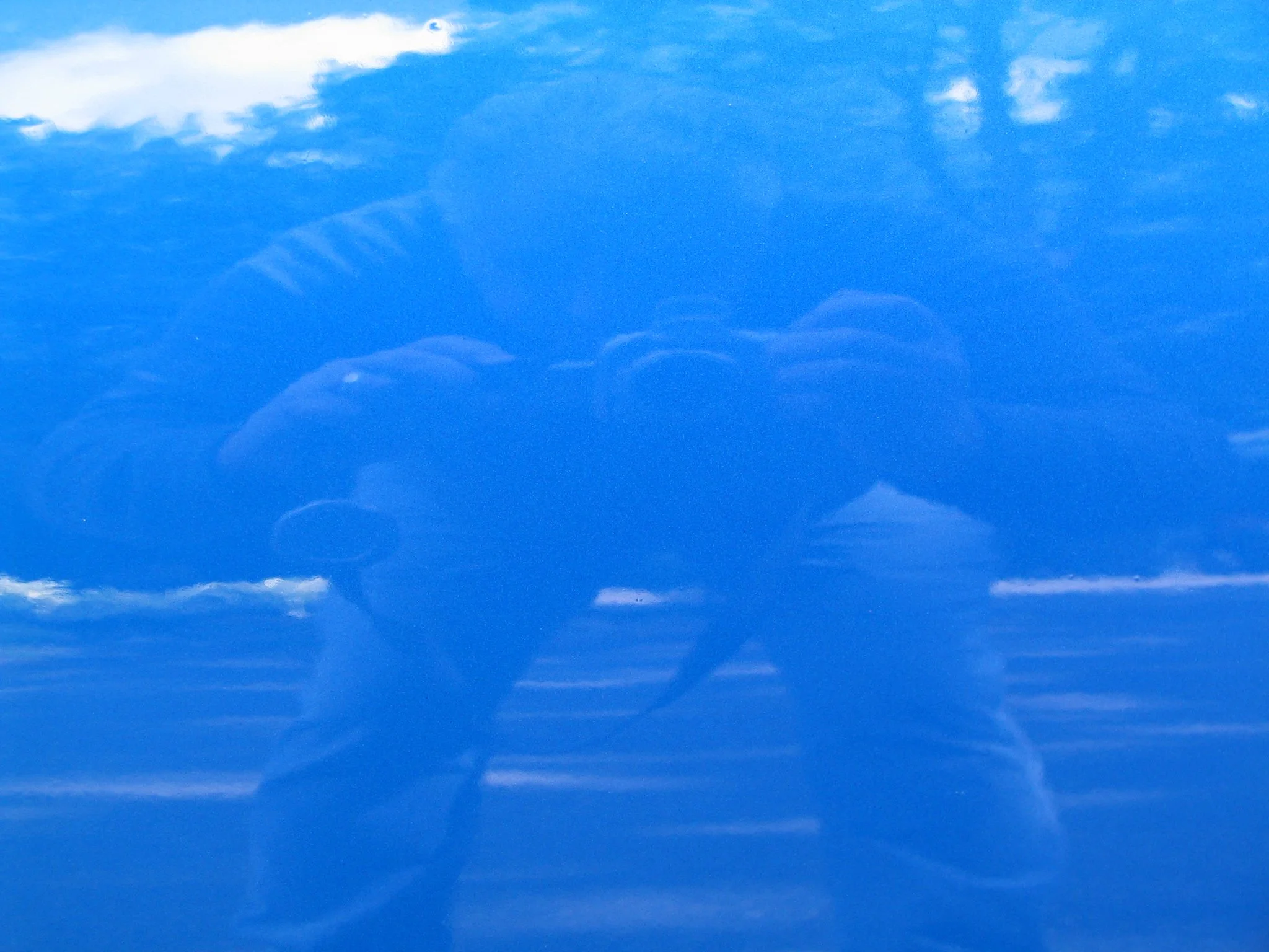 a7b61450-9e1f-4059-bab9-5b46960eb938.jpg