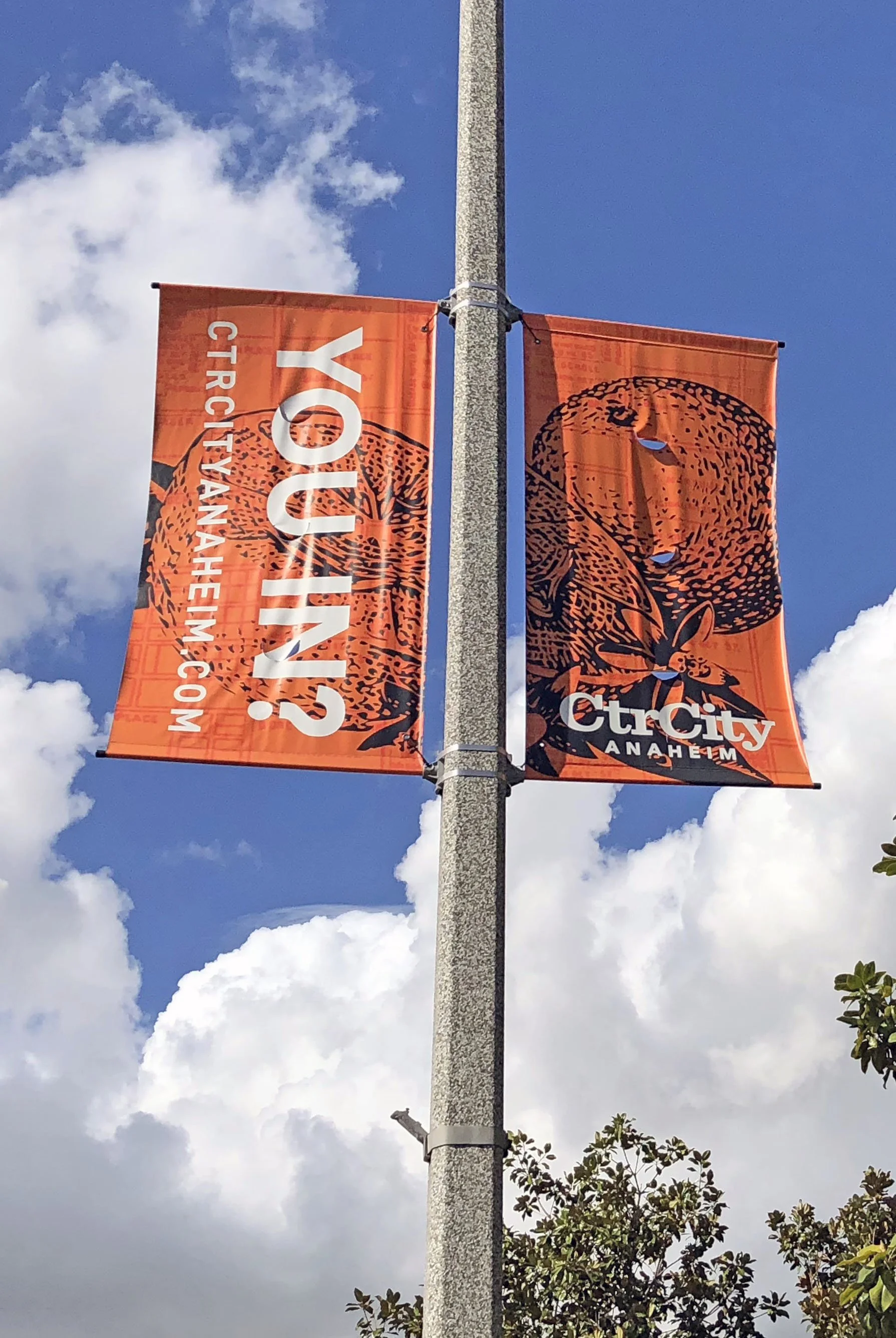 Anaheim CtrCity 7.JPG