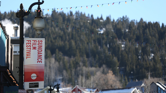 Sundance 2014.png
