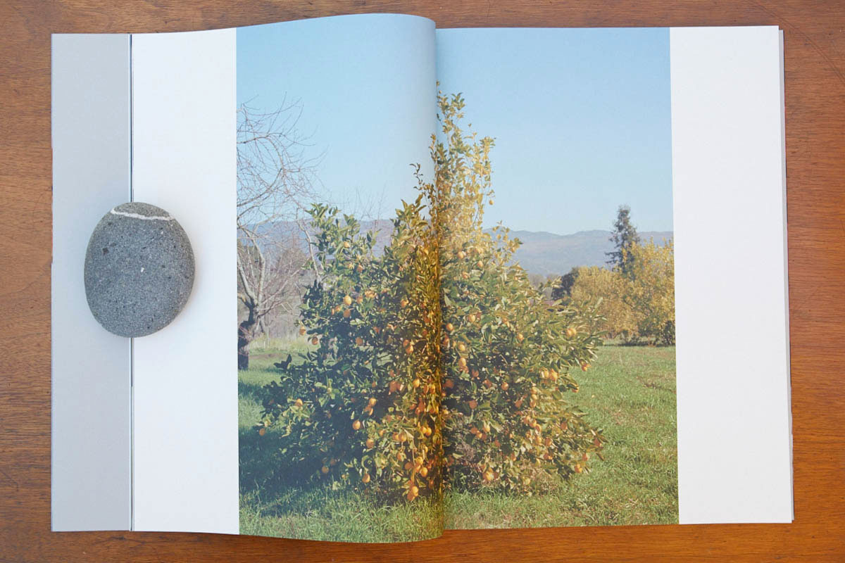 ChezBook0028.jpg