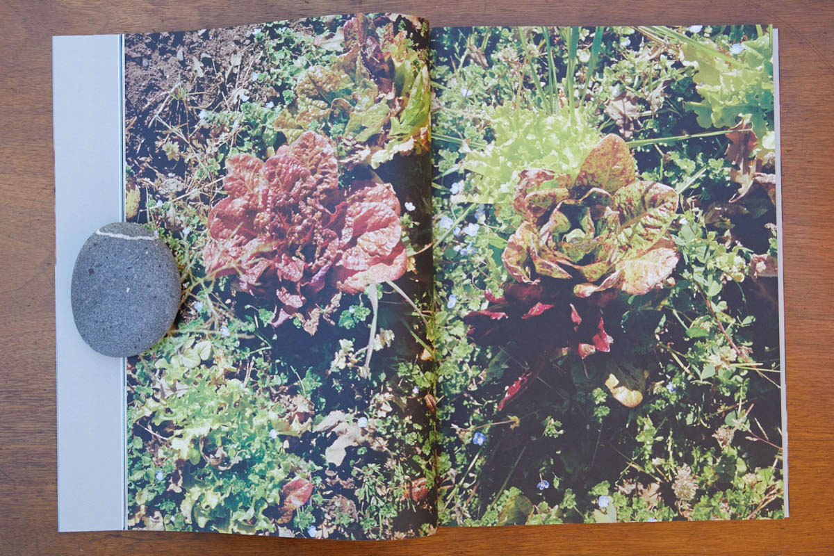 ChezBook0030.jpg