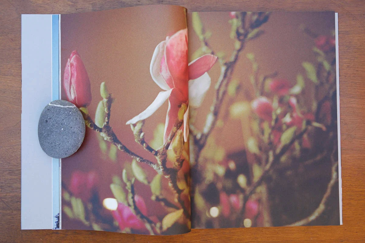 ChezBook0036.jpg