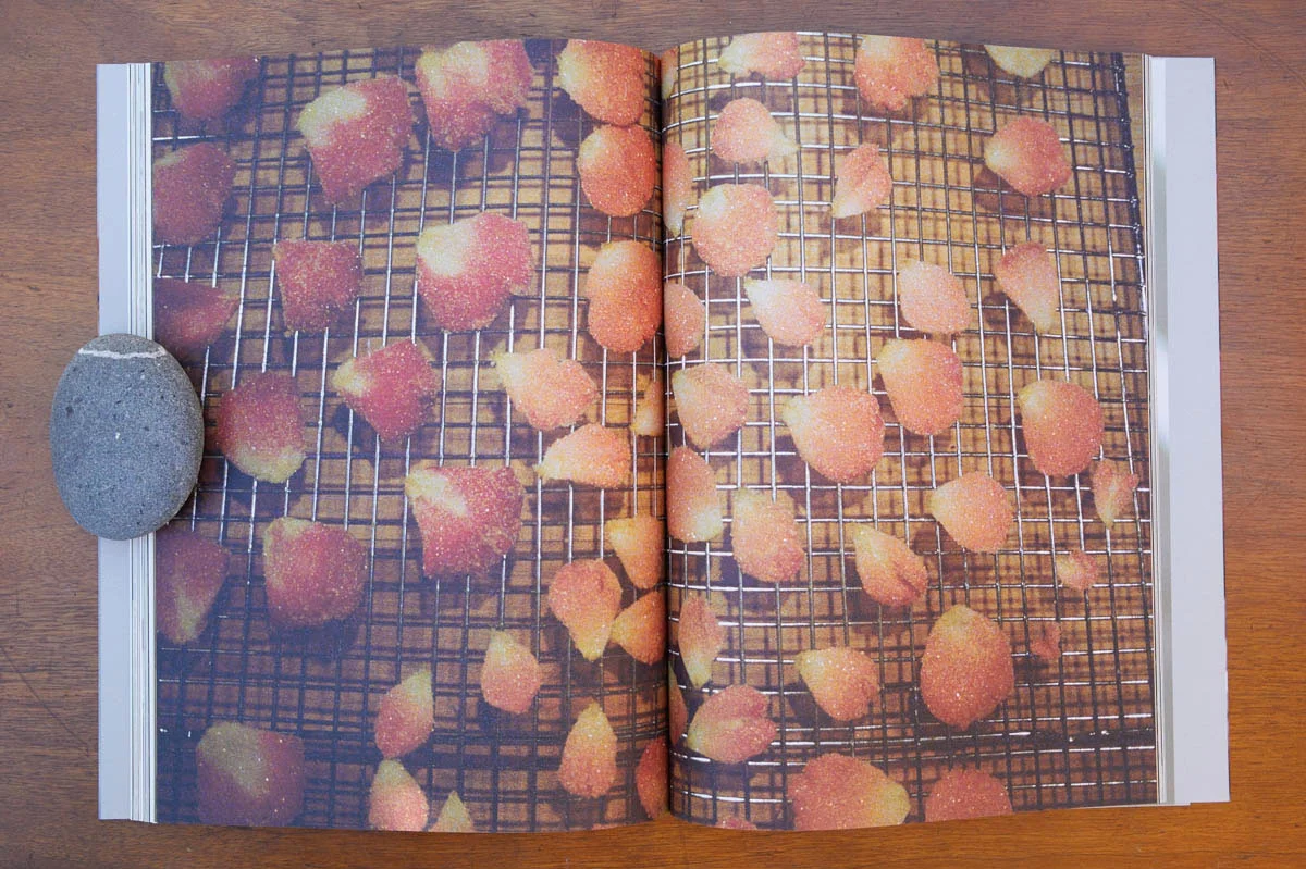 ChezBook0092.jpg