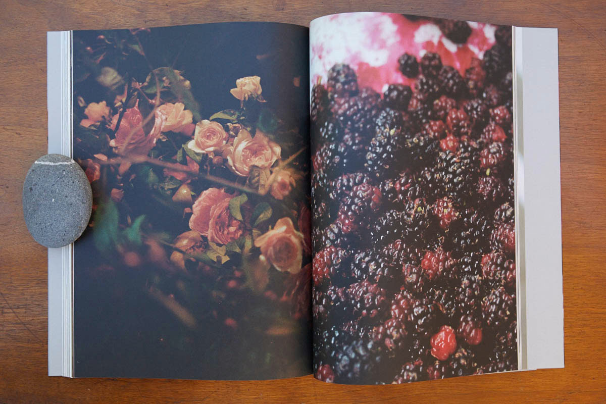 ChezBook0100.jpg