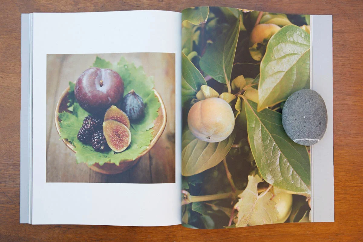 ChezBook0106.jpg