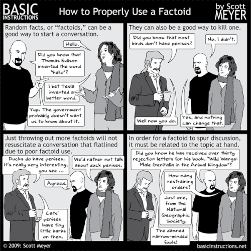 How to Properly Use a Factoid — Basic Instructions