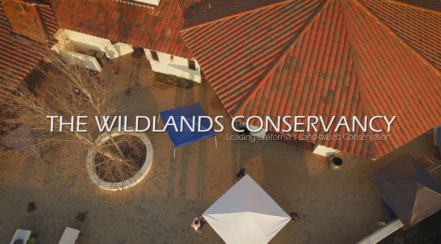 Windwolves Nature Festival