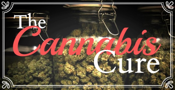 Shelf Life and Proper Storage of Cannabis Buds