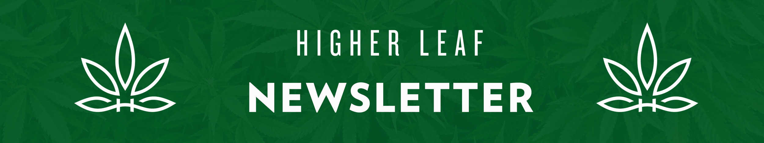 Newsletter.png