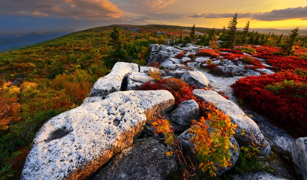 Randolph Terrace Apartments
