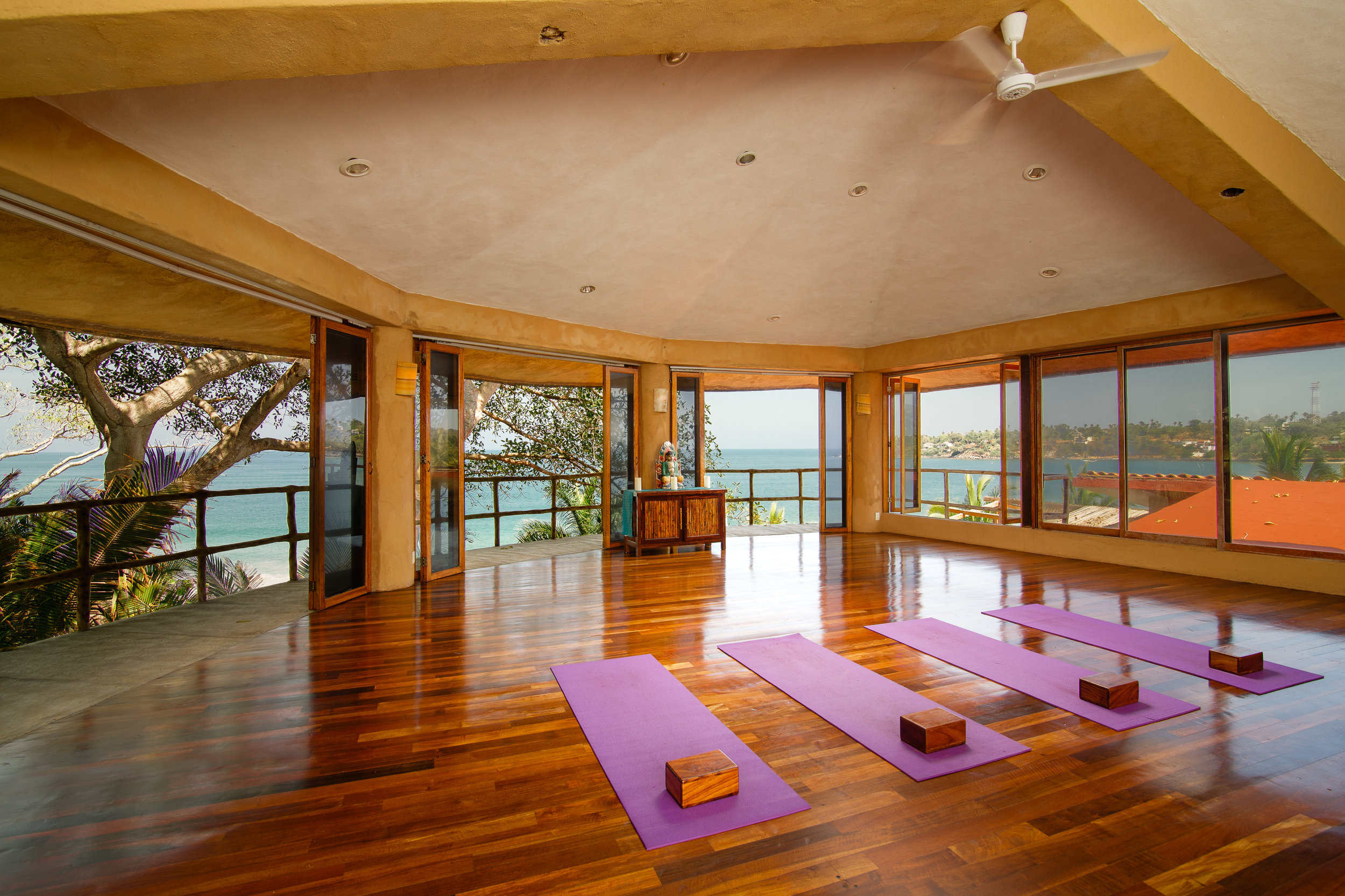 LA_SELVA_STUDIO_2.jpg